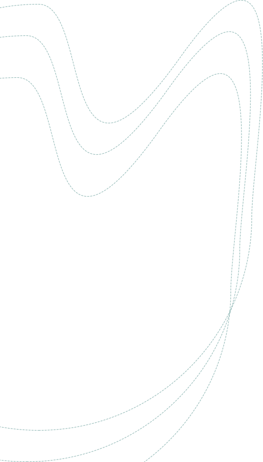 portfolio shape one